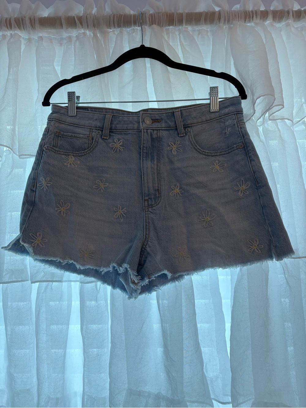 American Eagle Outfitters Light Blue Daisy Embroidered Denim Shorts